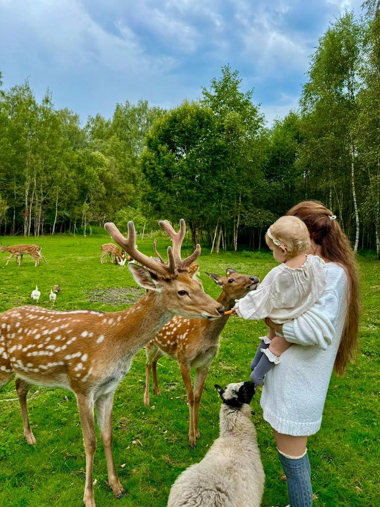 Посещение оленьей фермы с Пн по Пт