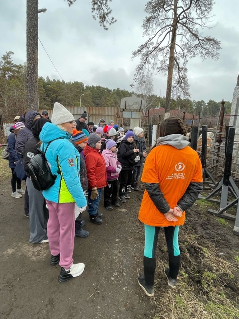 Ознакомительная экскурсия по конюшне со знакомством с лошадьми, пони и другими животными Клуба в будни с 09:00 до 18:00