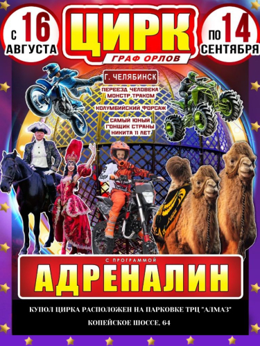 Билеты на цирковое представление