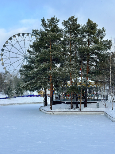 Спецпредложение «Ледяное спецпредложение»