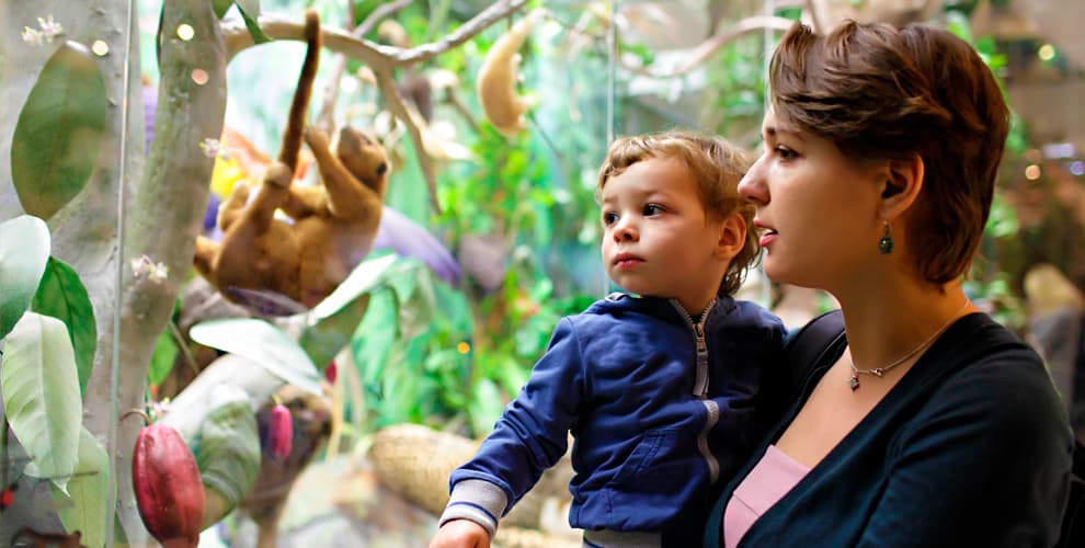 Зверополис Зоопарк