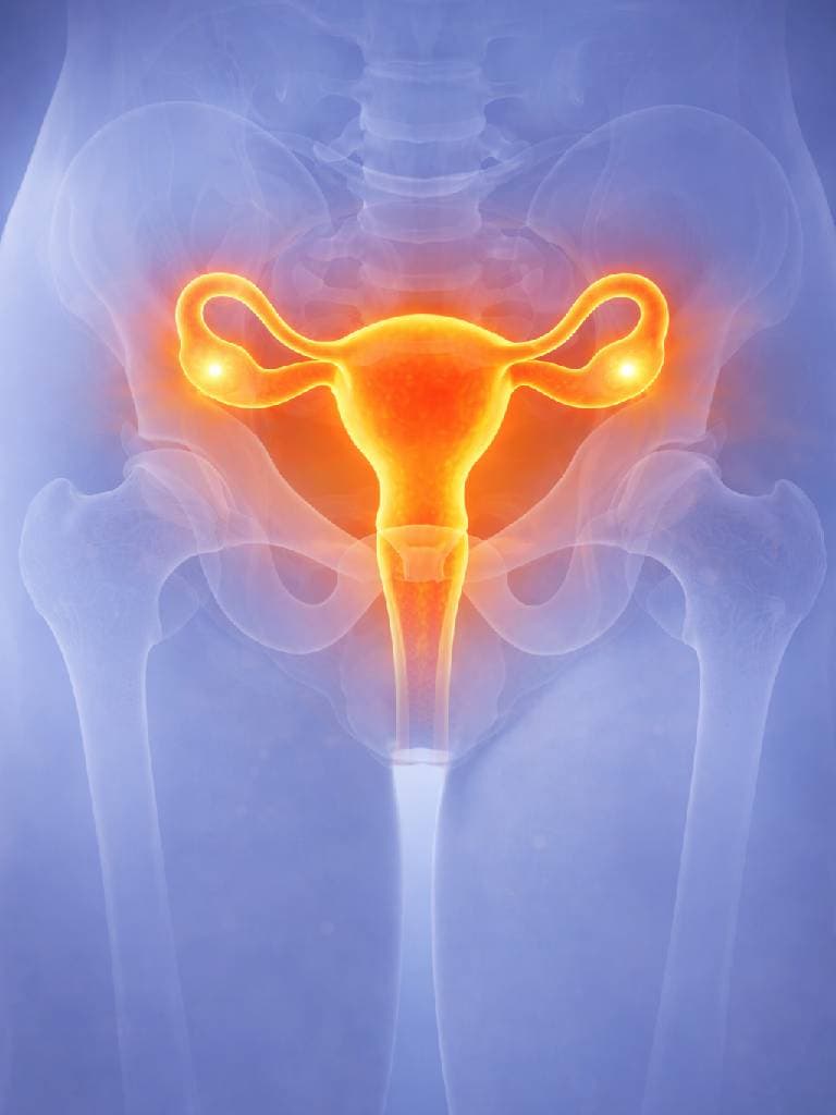 УЗИ органов малого таза у женщин