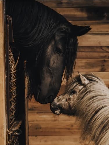 Билет для взрослого или ребенка на посещение зоофермы в любой день.