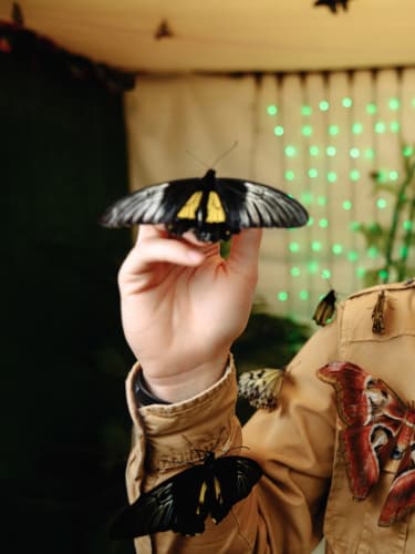 Комбо: взрослый билет + детский