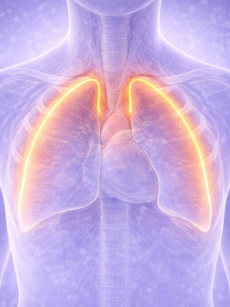 УЗИ плевральных полостей