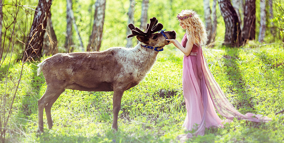 Питомник ездовых оленей Северное сияние