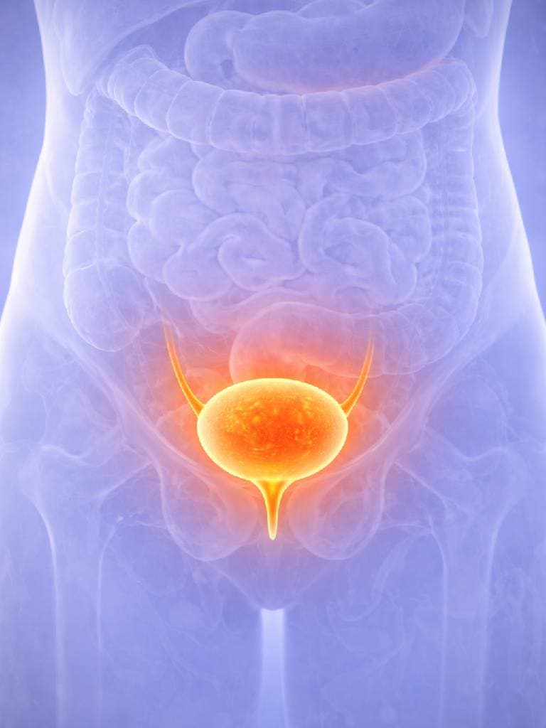 УЗИ мочевого пузыря