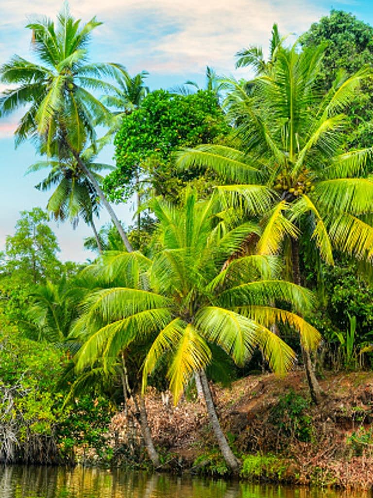 SPA-программа «Райский остров»