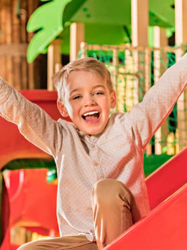 Безлимитное посещение парка