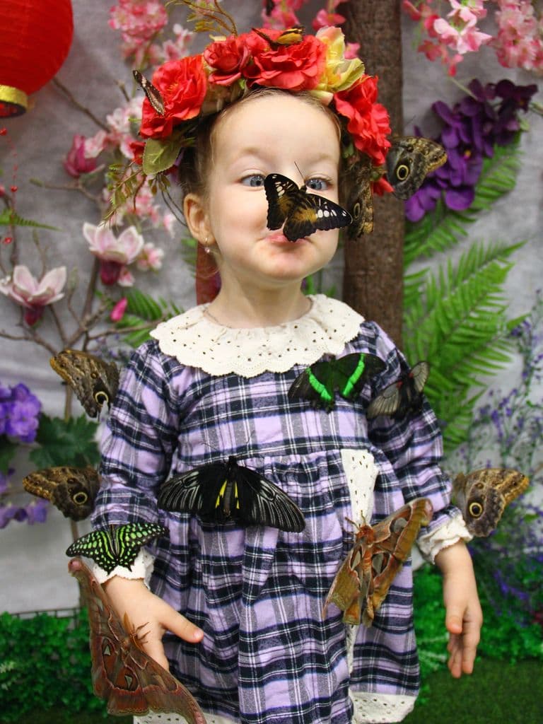 Детский билет на посещение парка бабочек, с 3-х до 14 лет, с Пн по Пт