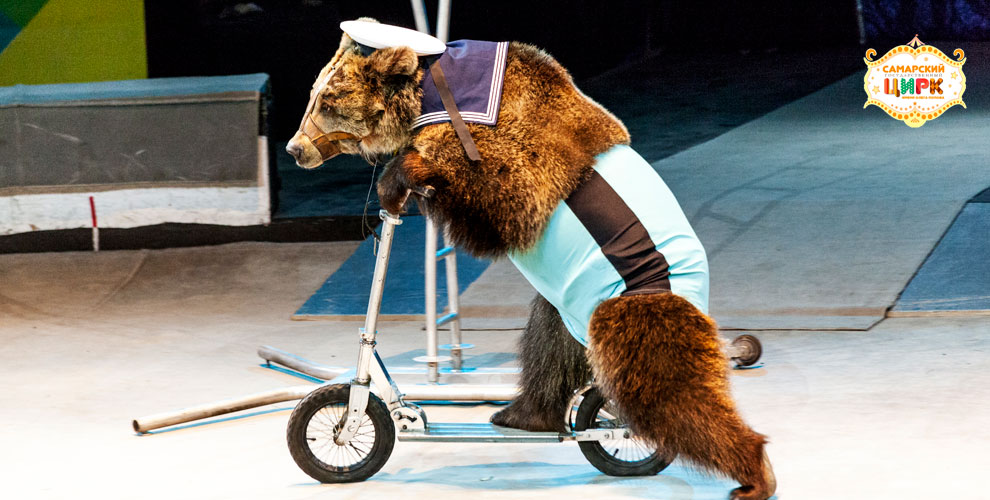 Самарский государственный цирк