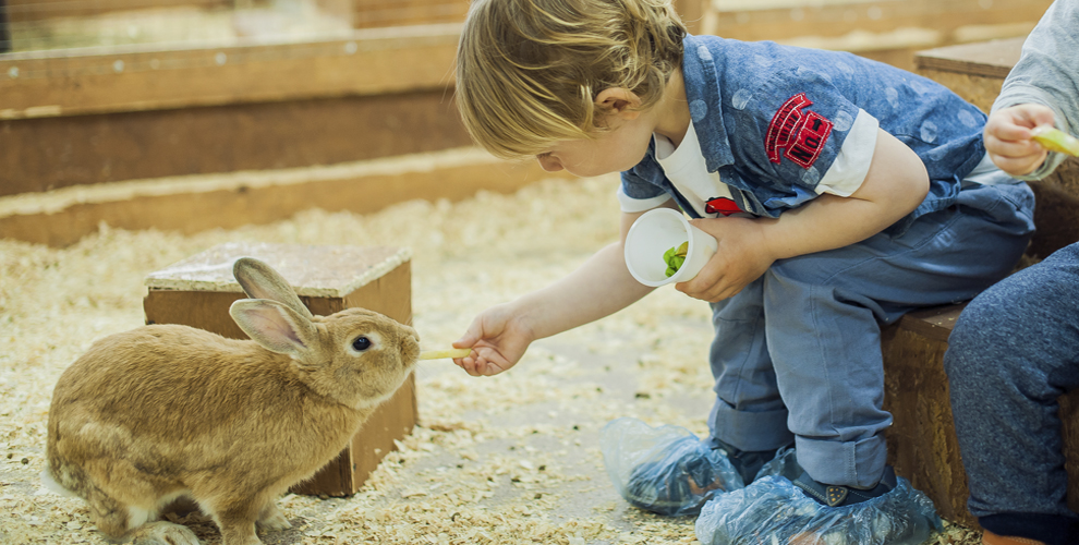 Зоопарк Обитаемый остров