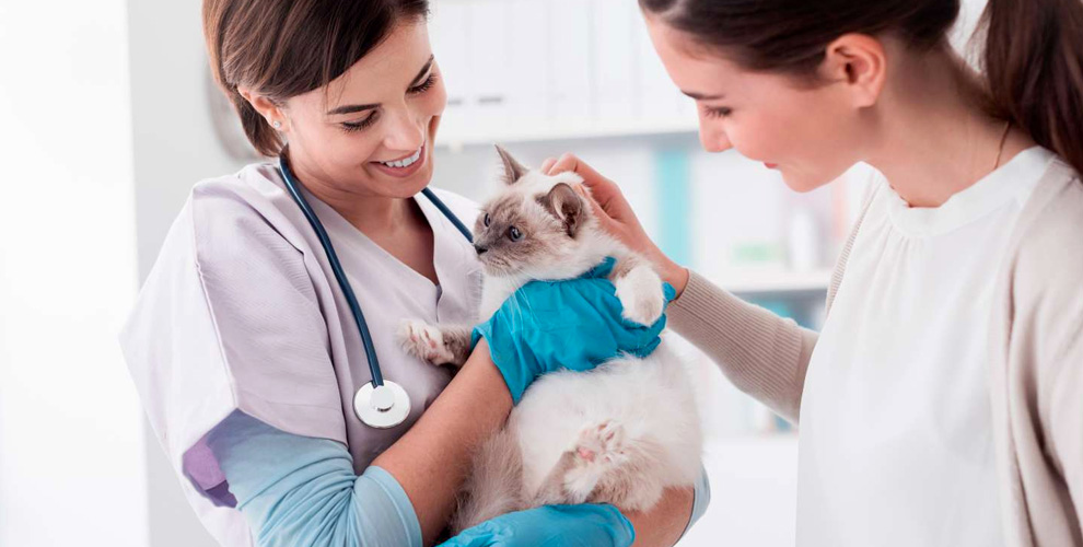 Ветеринарная клиника Доверие