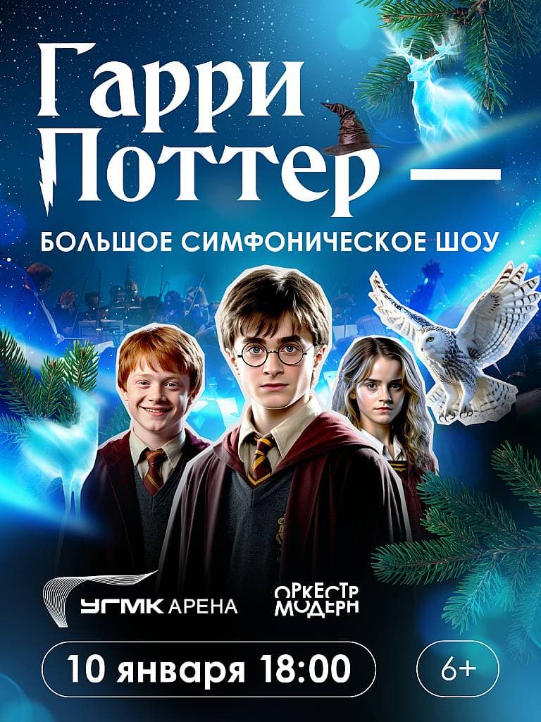 Концерт «Гарри Поттер-новогодняя симфоническая сюита»