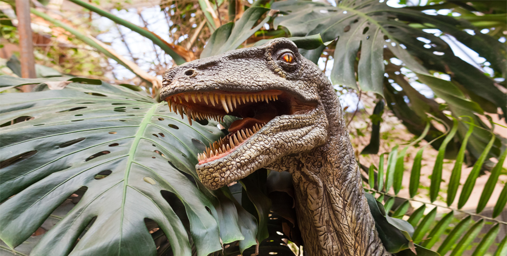 Парк динозавров DinoPark Rex