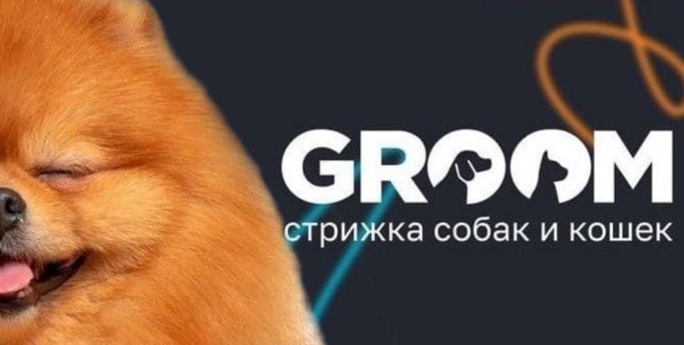 Груминг GROOM