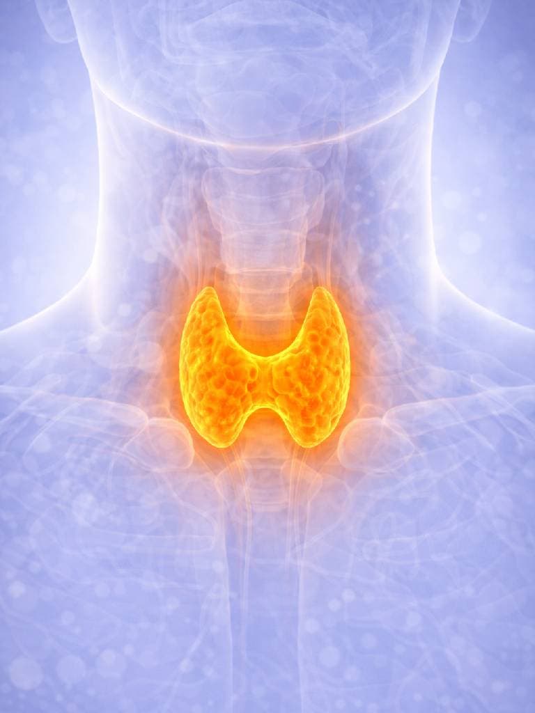 УЗИ щитовидной железы