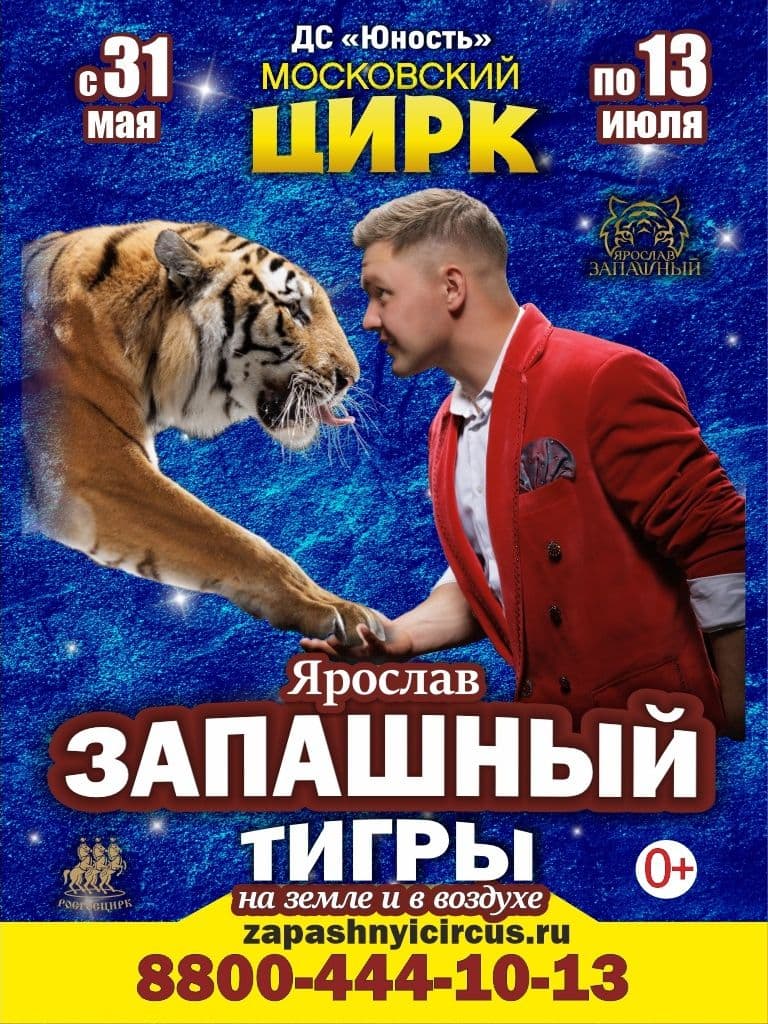 Билеты на цирковое шоу «Тигры на земле и в воздухе»