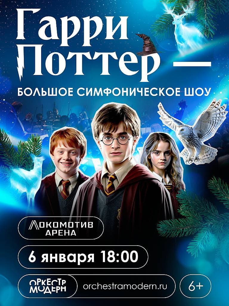 Концерт «Гарри Поттер-новогодняя симфоническая сюита»