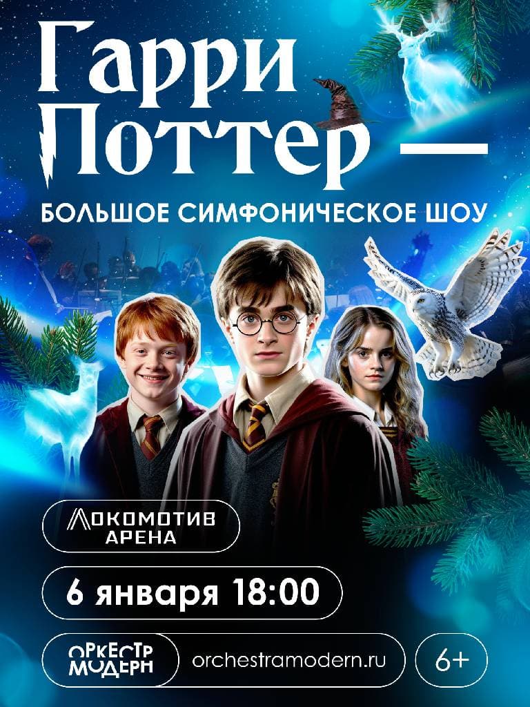 Концерт «Гарри Поттер-новогодняя симфоническая сюита»