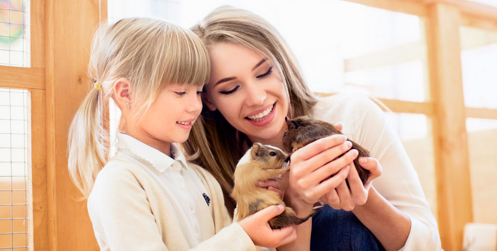 Контактный зоопарк Лесное посольство