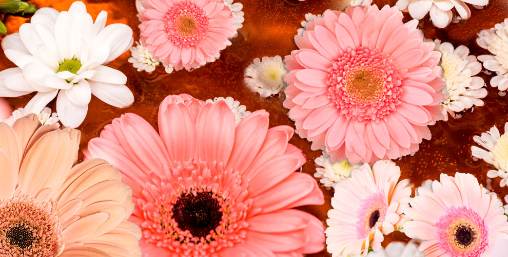 Салон цветов Аэдис