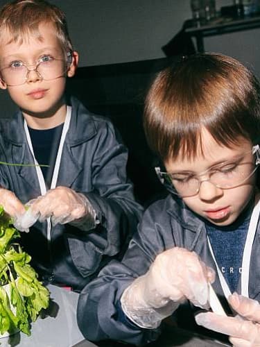 Научный Новый год для дошкольников 5-6 лет