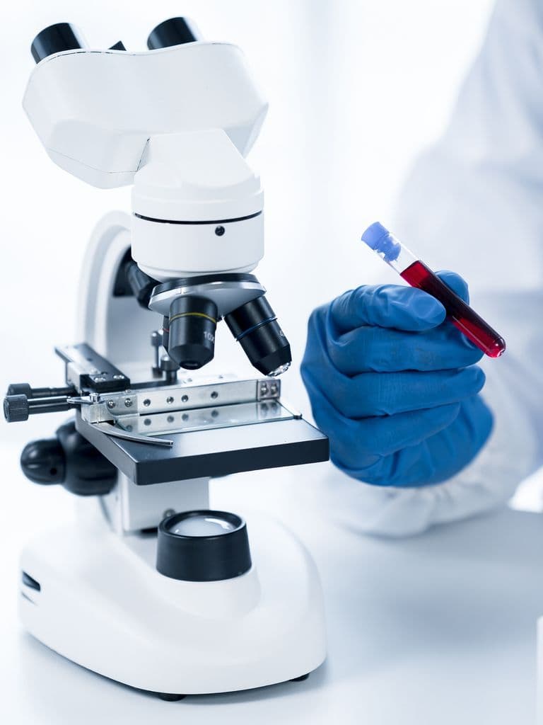 Анализ крови на витамин B9 (фолиевая кислота)