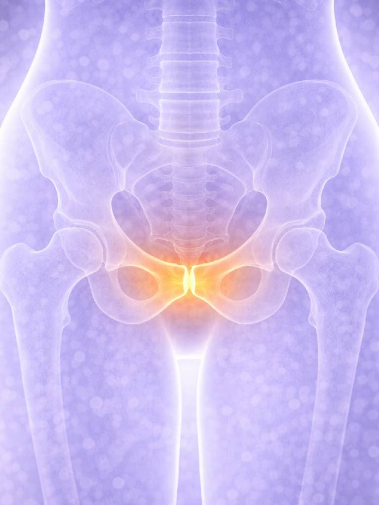 УЗИ лонного сочленения