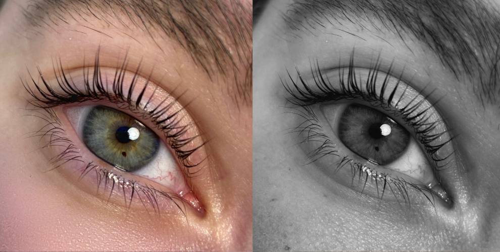 Студия Easy_lamy