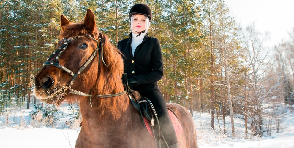 Клуб ВИ КСК Аргамак