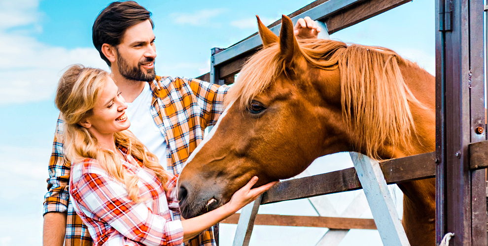 Конный клуб Red Hill