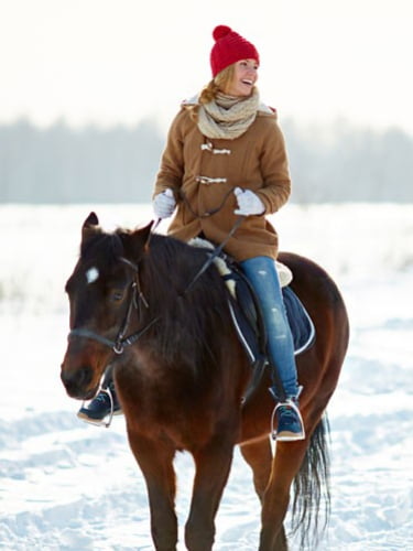 Катание в санях по зимнему лесу