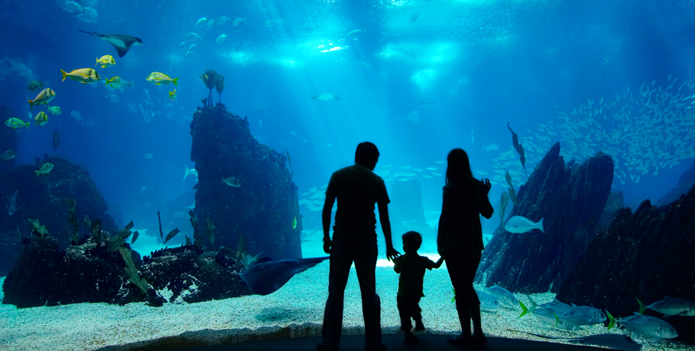 на сертификат номиналом 1000 руб.