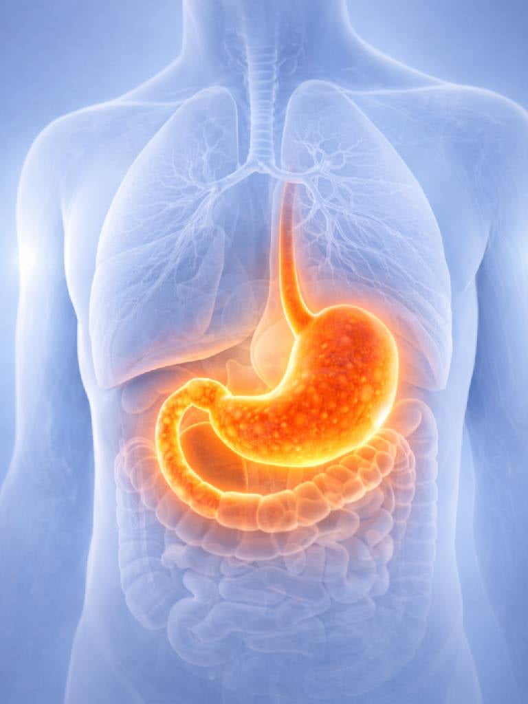 УЗИ желудка и ДПК (двенадцатиперстная кишка)