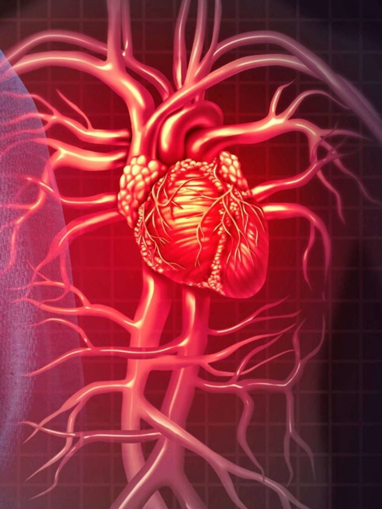 Расширенное лабораторное обследование сердца и сосудов