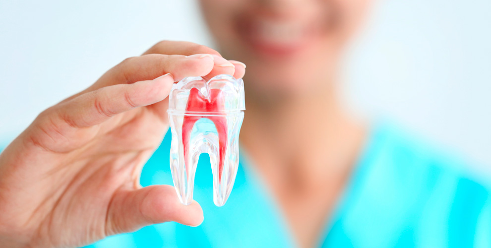 на осмотр и консультацию врача стоматолога-терапевта, стоматолога-хирурга