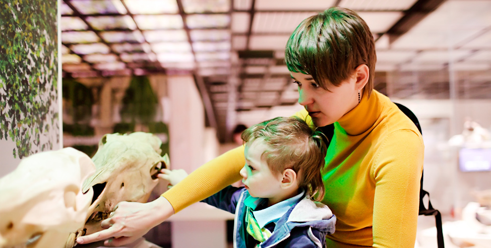 на билет на постоянную выставку «Особняк дворян Поклевских-Козелл» (0+)