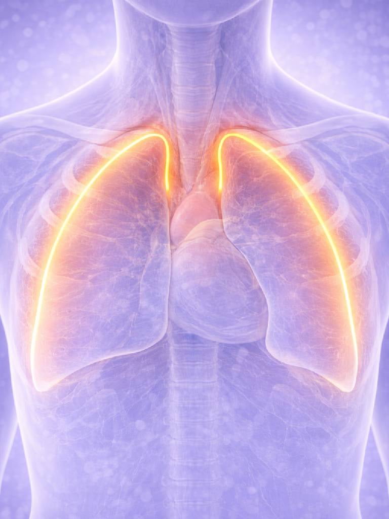 УЗИ плевральных полостей