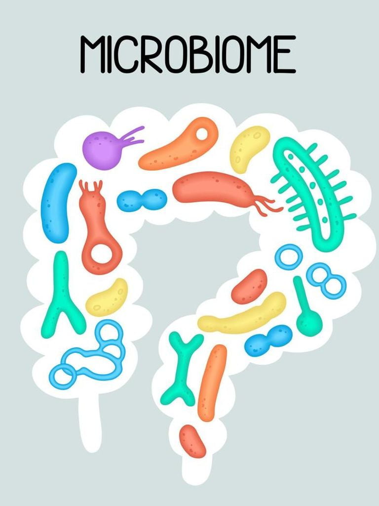 Анализ микробиоты по Осипову
