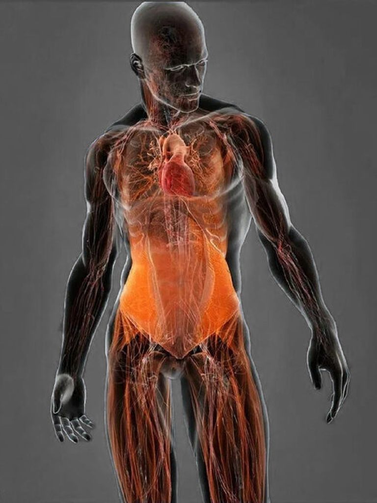 МРТ мягких тканей