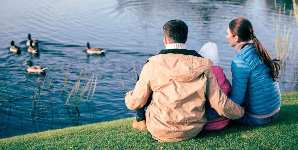 на любое количество дней проживания в номере категории «Стандарт» или «Студия» с полупансионом завтраком для 2 человек