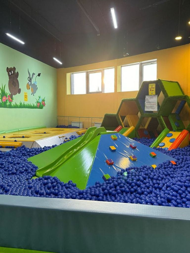 Посещение парка по адресу пр. Дзержинского 2/2 в любой день