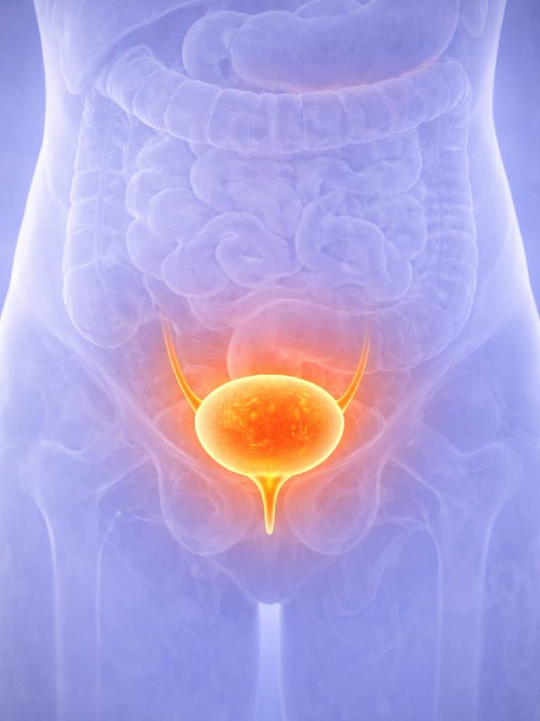 УЗИ мочевого пузыря