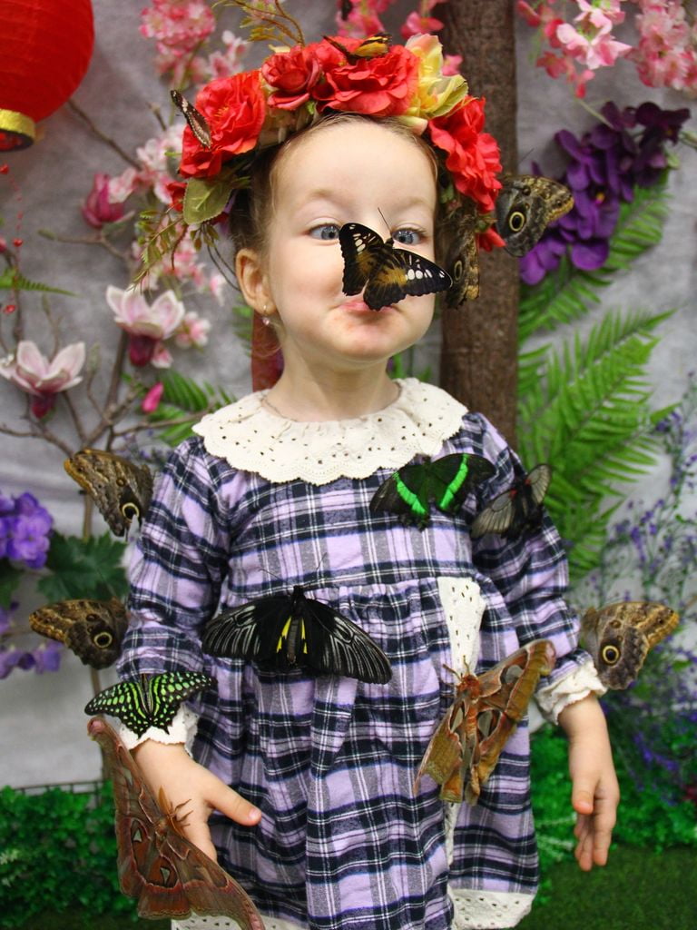 Детский билет на посещение парка бабочек, с 3-х до 14 лет, с Пн по Пт