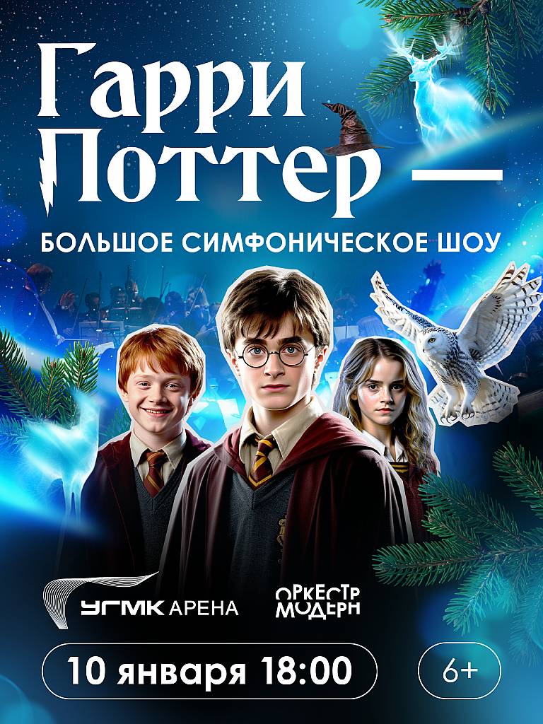 Концерт «Гарри Поттер-новогодняя симфоническая сюита»