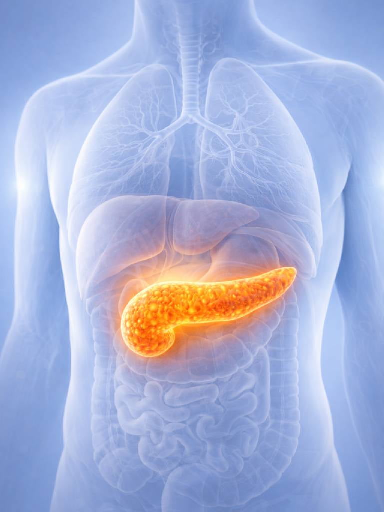 УЗИ поджелудочной железы