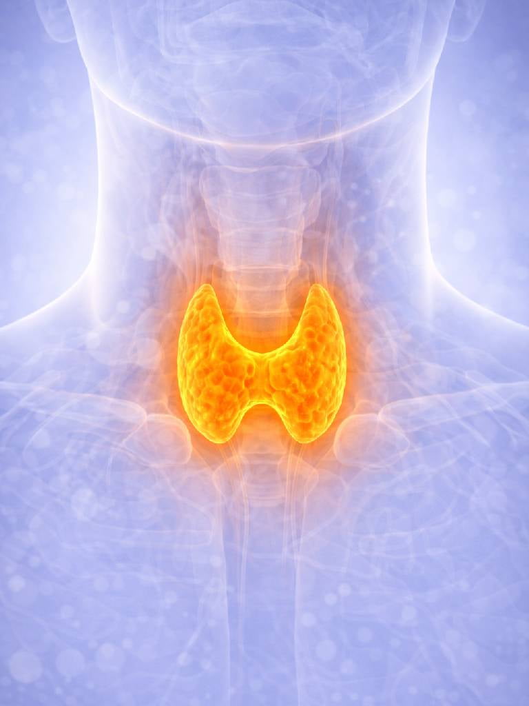 УЗИ щитовидной железы