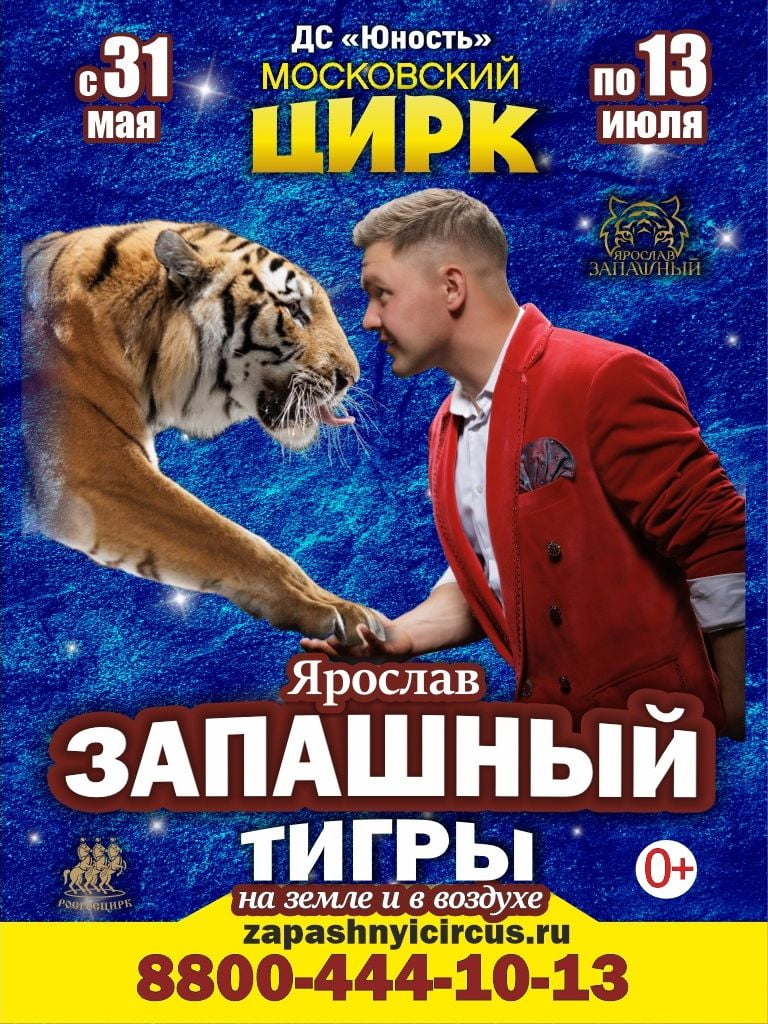 Билеты на цирковое шоу «Тигры на земле и в воздухе»