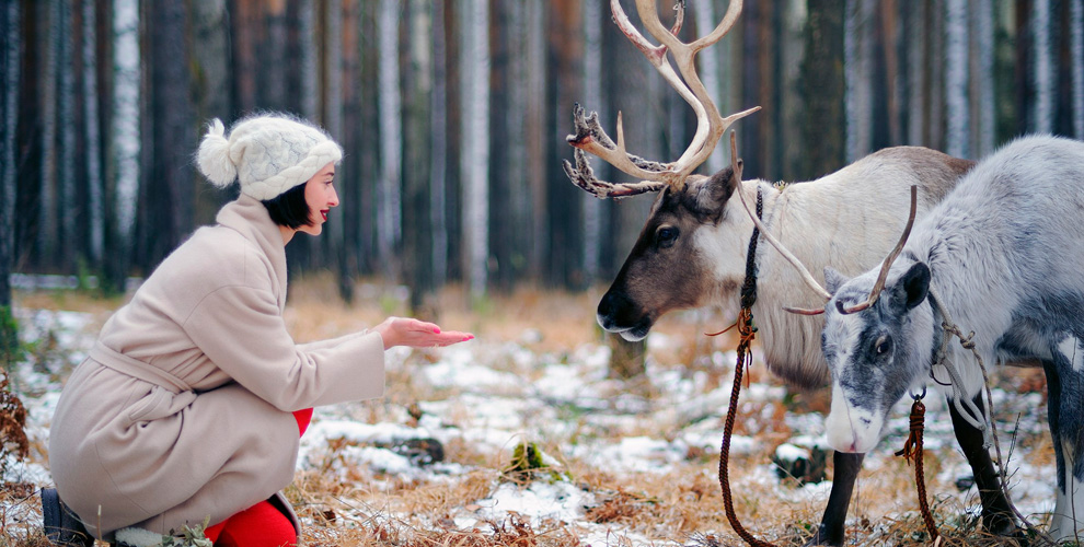 на экскурсию в питомник «Северное сияние», для 1 ребенка до 12 лет (включительно)